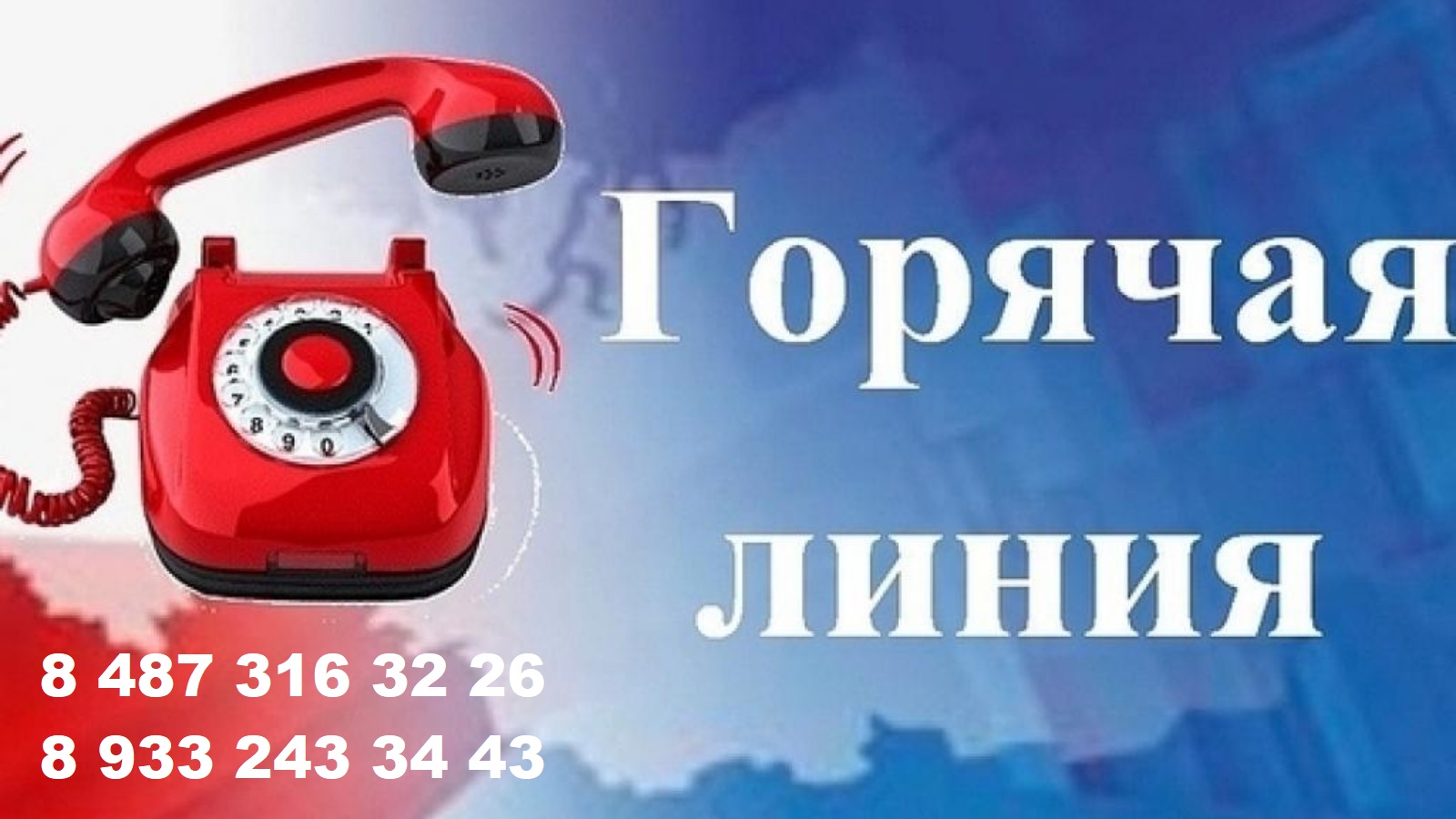 «Горячая линия» о нарушениях вступительной компании в ССУЗы и вузы - 2025.